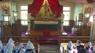 SSPXNZLIVE - Second Sunday after Pentecost - 2nd June - Sung Mass