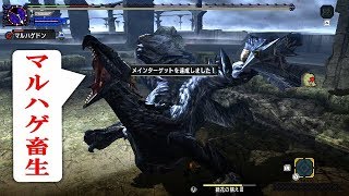 MHXX　ブレイブ太刀ソロ　天彗龍より姉御がコエ～♪（バルファルク）