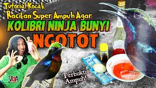 Tutorial Kocak Meracik Nektar Buatan Untuk Pakan Harian Kolibri Ninja | Terbukti Ampuh | Gorontalo