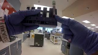 Behind the scenes What happens to a blood sample