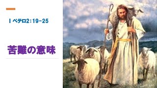 苦難の意味　　　ペテロの手紙第一　2:19-25