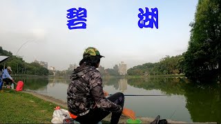 內湖公園合法釣魚，真是安全又方便！魚也多到爆…