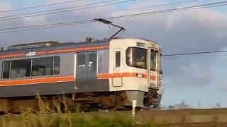 [警笛あり]JR東海 飯田線 313系3000番台 野田城駅付近通過[汽笛吹鳴標識]