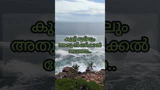 ബാത്റൂമിൽ വെച്ച് പല്ല് തേയ്ക്കാമോ #shortvideo #thazhavabaith