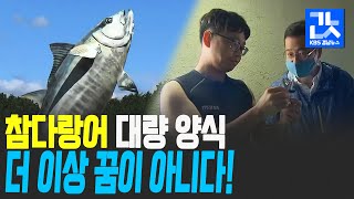 참다랑어 수정란 육상 생산…양식 성공 보인다 | KBS 201002 방송