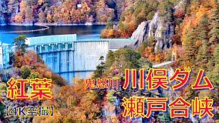 【#4K空撮】紅葉の鬼怒川最上流部　川俣ダム・川俣湖・瀬戸合峡を飛ぶ