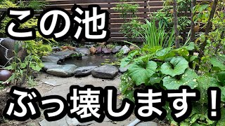 【池作り】折角作った池をぶっ壊します！