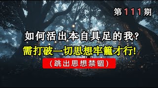 如何活出本自具足的我?需打破一切思想牢笼,跳出思想禁锢才行!#宇宙 #精神 #財富 #修行#能量#業力#靈魂 #第五維度#生命 #振動 #靈性 #覺醒