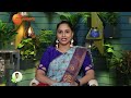 benefits of betel leaf relief from gas trouble indigestion tamalapaku manthena s health tips