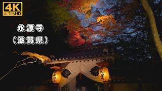 Autumn Leaves in Japan (Eigenji Temple @ Shiga) ＊息をのむ美しい紅葉＊永源寺（滋賀県）