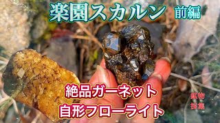 楽園スカルン ～ 前編　　　　自形蛍石と絶品ガーネット・前編　【鉱物採集】