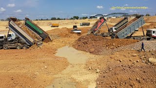 Heavy Dump Trucks Dumping Soil And Bulldozer Pushing Soil Filling Land