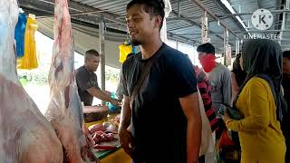 Harga ikan udang sotong pada hari ini di nat tunjang