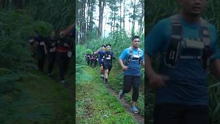 Lari Lintas Alam “Loji Fun Trail Run 5K” #letmewalk #wisatablitar #hutanpinusloji #blitar