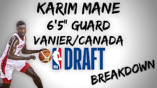 Karim Mane Draft Scouting Video | 2020 NBA Draft Breakdowns