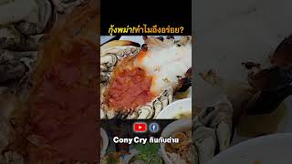 กุ้งพม่า! ทำไมถึงอร่อย? #กุ้งแม่น้ำ #กุ้งเผา #seafood #conycry #กินกับต่าย #cooking