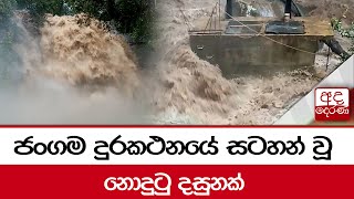 ජංගම දුරකථනයේ සටහන් වූ නොදුටු දසුනක්