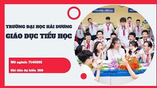 Giới thiệu Khoa Giáo dục Tiểu học - Trường Đại học Hải Dương 2024