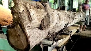 Transforming long Pucuk'an wood into amazing and beautiful material || Wood sawmill