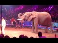 Amazing!!! Elephants 🎪cirque de  🇲🇨  Monte Carlo 2010 🐘  #elephant #circus