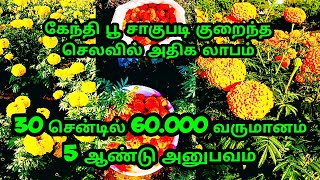 கேந்தி பூ சாகுபடி குறைந்த செலவில் அதிக லாபம்/marigold cultivation tamil/https:/youtu.be//h-uF9LFTMI4