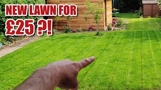 Making a NEW LAWN - tree root removal, FULL RE-GRADE and grass seed