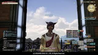 【生放送】30過ぎて始めるFF14  ～壁、壁、壁～ #136【FF14 】パッチ5.0～