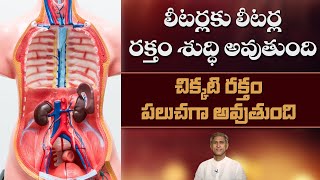 Blood Purifier | Reduces Urine Infections | Tips for Kidney Health | BP | Dr. Manthena's Health Tips