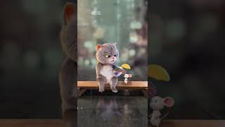 【斑布猫】虽然我们会吵架，但是我不会离开你。#陪你看星星