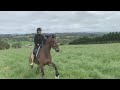 Horse Riding Fear | There Is A Way To Overcome