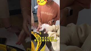 流水的猫猫铁打的阿jio 领养篇～抓的猫就为了这一刻～哼！#我和流浪猫的故事 #领养代替购买 #圣火喵喵教