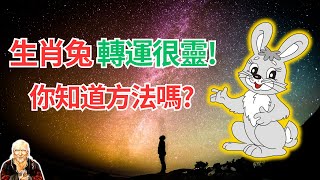 屬兔人，你如何改變自己的命運？如果遇到不順，一定要轉運化解！開運秘法很靈驗，請接收！ #生肖兔2024年運勢 #生肖兔2024年運程 #屬兔人2024年運程 #屬兔人2024年運勢