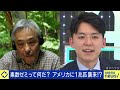 【セミ】221年ぶりに1億匹が発生？抜け殻で事故に？昆虫の役割は？害虫駆除の依頼は？京大名誉教授と考える｜アベプラ