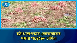 পাবনার ঈশ্বরদীতে মুড়িকাটা পেঁয়াজের ভালো আবাদ হয়েছে | Pabna | Onion | Rtv News