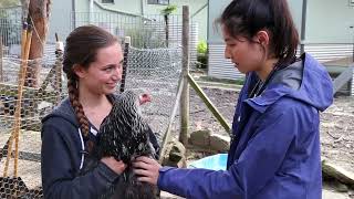 Australia Veterinary Service Program with Loop Abroad