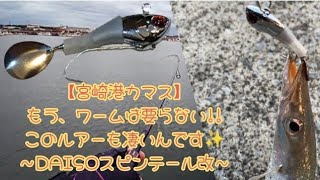 再）【宮崎港カマス後編】もう、ワームは要らない!!このルアーも凄いんです✨〜DAISOスピンテール改〜