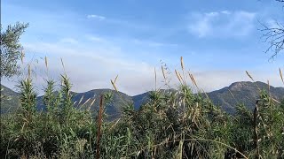 art vlog, daily life, nature ,south of spain.           #artvlog #andalucia