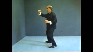 Yang Style Tai Chi Long Form Master Course - Lesson 19