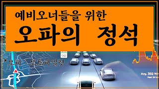 테슬라 예비오너들을 위한 오토파일럿의 정석 - 모델Y 모델3 #Tesla