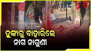 ୧୫ ଫୁଟ ହୁଙ୍କା ତଳେ ରହିଛି ଶିବ ଲିଙ୍ଗ, ସାଧୁସନ୍ଥଙ୍କ ଆକଳନ