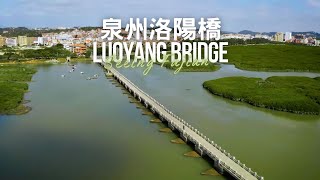 泉州洛陽橋 Luoyang Bridge：刺桐花開，千年曆史跫音厚重悠遠 | 航拍風景 Aerial Landscape | 看見福建 Seeing Fujian