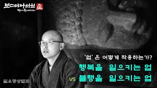 업은 어떻게 작용하는가? - 행복을  일으키는 업 VS 불행을  일으키는 업ㅣ업 분석의 짧은 경(M135) l 일요명상법회ㅣ혜안스님