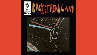 NEW!! Skyroom - Buckethead (Pike 665)