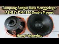 Speaker Horeg Double Magnet ASHLEY DM-1850 (18 in Voice Coil 5 in)