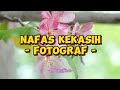 Fotograf - Nafas Kekasih (lirik Lagu)