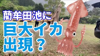 【鹿児島キャンプ】藺牟田池県立自然公園#2 幕内天麩羅食堂！撤去しながら遊び散らかす！そしてスカイパイロットがイカのお化けに？