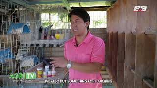 AGRITV March 22, 2020 Episode - PIGEON TALK - Loft ni Bait - Flyers Loft