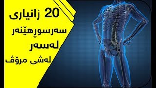 20 زانیاری سەرسوڕهێنەر لەسەر لەشی مرۆڤ