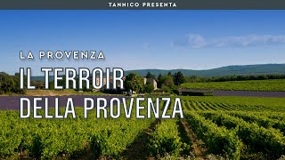 Da Nizza ad Arles: il terroir e i vitigni della Provenza | Tannico Flying School