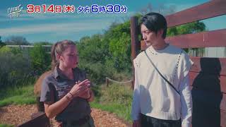 「NEXT TRIP ～南アフリカ編 第3回 忘れられないサファリ体験～」